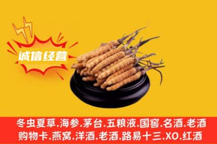 青岛市市北回收冬虫夏草